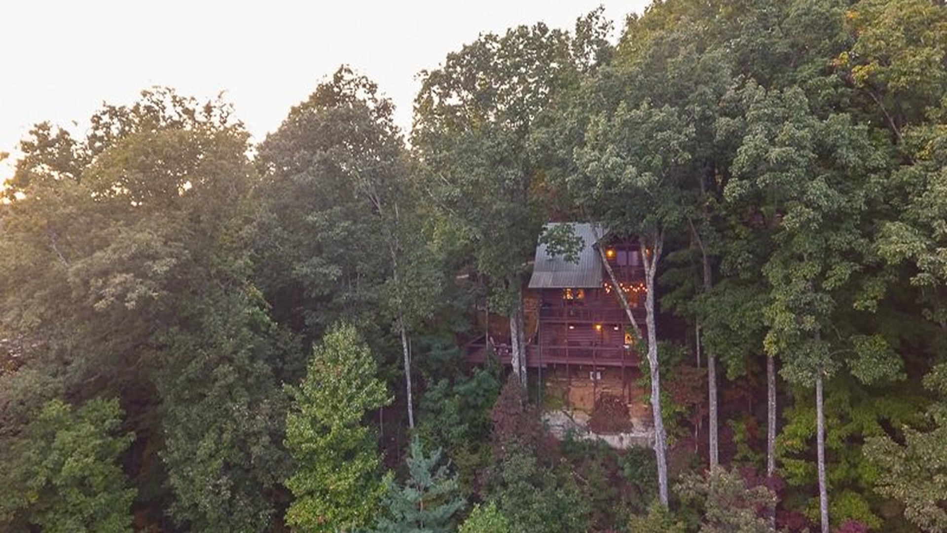 A tucked-away cabin setting surrounded by trees.